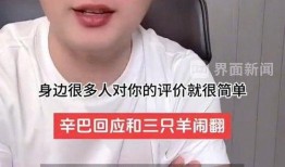 辛巴爆料卢文庆视频,揭秘背后惊人内幕