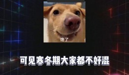 吃瓜娱乐BGM,打造专属你的休闲时光